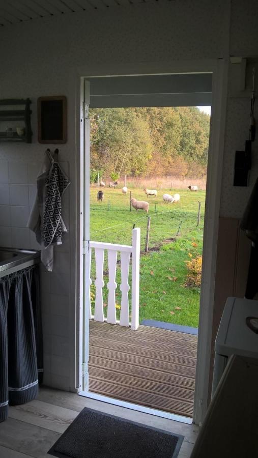 Pipowagen Elsebein Groningen Westerwolde Unieke Ligging Met Eigen Tuin En Vrij Uitzicht Over Veld Naar Natuurgebied Onstwedde Luaran gambar