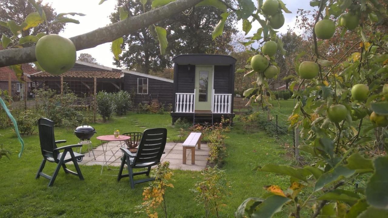 Pipowagen Elsebein Groningen Westerwolde Unieke Ligging Met Eigen Tuin En Vrij Uitzicht Over Veld Naar Natuurgebied Onstwedde Luaran gambar