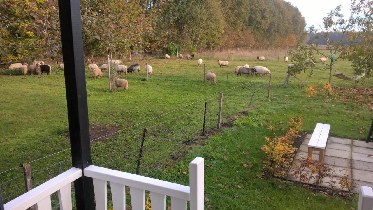 Pipowagen Elsebein Groningen Westerwolde Unieke Ligging Met Eigen Tuin En Vrij Uitzicht Over Veld Naar Natuurgebied Onstwedde Luaran gambar