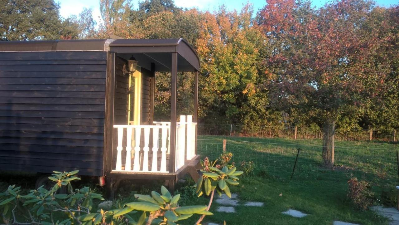 Pipowagen Elsebein Groningen Westerwolde Unieke Ligging Met Eigen Tuin En Vrij Uitzicht Over Veld Naar Natuurgebied Onstwedde Luaran gambar