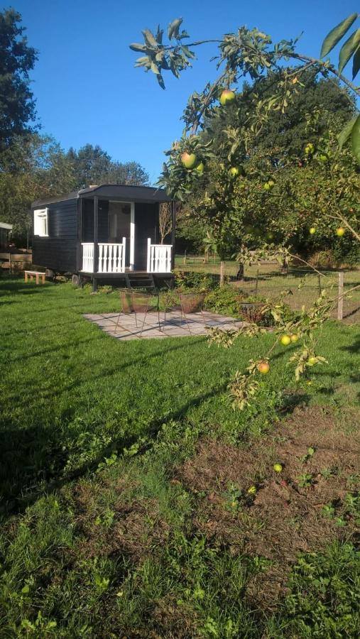 Pipowagen Elsebein Groningen Westerwolde Unieke Ligging Met Eigen Tuin En Vrij Uitzicht Over Veld Naar Natuurgebied Onstwedde Luaran gambar