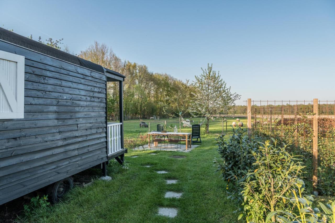 Pipowagen Elsebein Groningen Westerwolde Unieke Ligging Met Eigen Tuin En Vrij Uitzicht Over Veld Naar Natuurgebied Onstwedde Luaran gambar